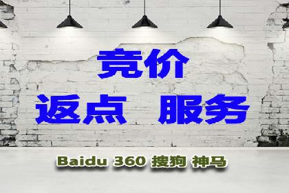 充值高返点案例：新手如何快速上手
